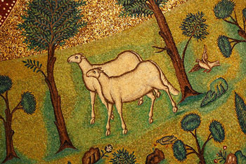 "Sheep in Paradise" from Basilica of Sant' Apollinare in Classe