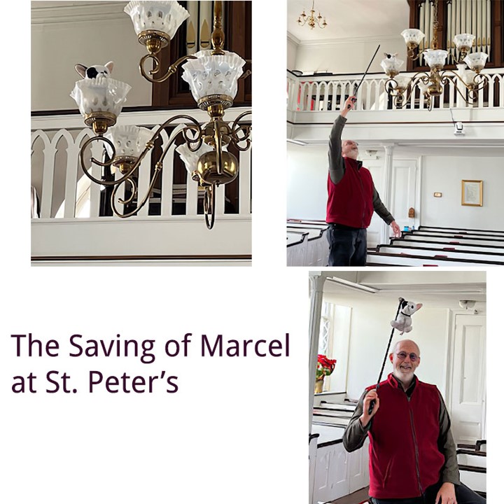 Feb 26 - Saving of Marcel